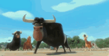 Bull Dance GIF - Bull Dance GIFs