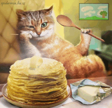 Kitten Pancakes GIF - Kitten Pancakes Waiting GIFs