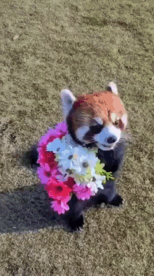 GIF