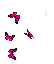 borboletas butterflies beautiful flying pink butterfly