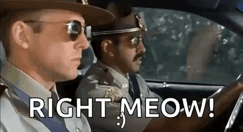 Super troopers meow