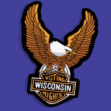 Wisconsin Loves The Freedom To Vote How We Choose Eagle GIF - Wisconsin Loves The Freedom To Vote How We Choose Eagle Vrl GIFs