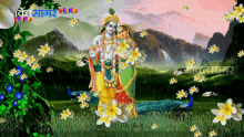 jaish krishna gods nature flower rain