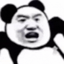 a black and white photo of a panda bear making a funny face with its mouth open .