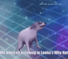 Loona GIF - Loona GIFs