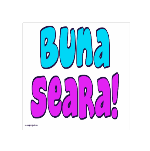 Buna Seara 3d Sticker - Buna Seara 3d Stickers