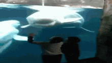 Dolphin Scared GIF - Dolphin Scared Kids GIFs