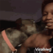 Dog Licking Owners Face Viralhog GIF - Dog Licking Owners Face Viralhog Dog Kissing Its Owner GIFs