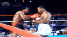 Boxing Tyson GIF
