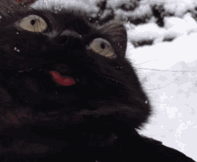 Black Cat Tongue Out GIF - Black Cat Tongue Out Cute GIFs