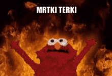 Mrtki Terki GIF - Mrtki Terki GIFs