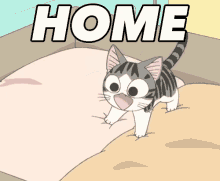Home GIF - Home Cat Happy GIFs