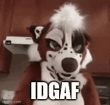 a furry dog in a kitchen with the words `` idgaf '' written on the bottom .
