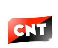 Cnt Sticker - Cnt Stickers