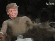 Trump Donald GIF - Trump Donald Fake GIFs