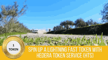 Hedera Token Service Hts GIF - Hedera Token Service Hts Hedera Hashgraph GIFs