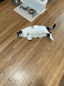 a cat is laying on its back on a wooden floor