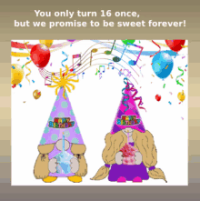 birthday gnome