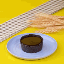a blue plate topped with a chocolate dessert with cherries on it