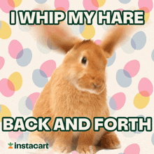 Whip My Hair Hip Hop GIF - Whip My Hair Hip Hop Bunny GIFs