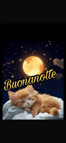 a cat is sleeping in front of a full moon with the words buonanotte below it