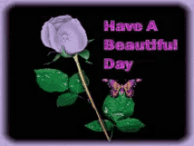 Rose Have A Beautiful Day GIF - Rose Have A Beautiful Day GIFs