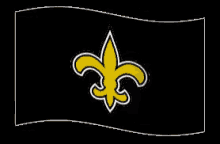 Saints GIF - Saints New Orleans Saints GIFs