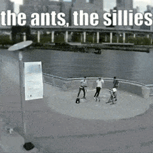 The Ants The Sillies Ajr GIF - The Ants The Sillies Ajr Ajr Band GIFs