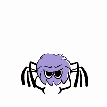 canticos spider