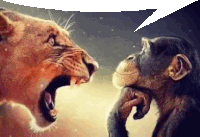 a lion and a chimpanzee are looking at each other with a speech bubble in the middle .