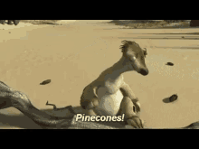 Pinecones Did GIF