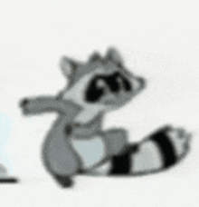 Dancing Raccoon GIF - Dancing Raccoon GIFs