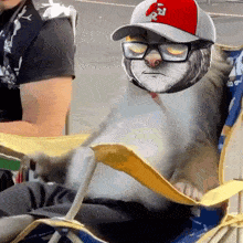 a sloth wearing a la hat and glasses