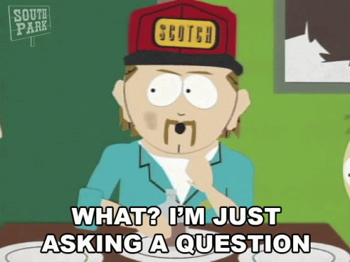 What Im Just Asking A Question GIF - What Im Just Asking A Question Stuart Mccormick GIFs