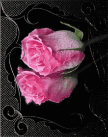 Pink Rose4u My Love I Love You GIF - Pink Rose4u My Love Pink Rose I Love You GIFs