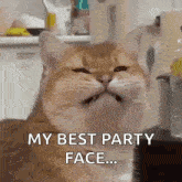 a close up of a cat 's face with the words my best party face