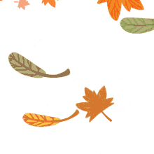 season fall