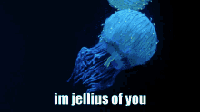 Jealous Jelly GIF - Jealous Jelly Fish GIFs