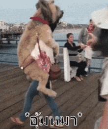 อุ้มหมา กอดหมา แบกหมา GIF - Carry Dog Carrying Dog GIFs