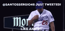 Sergio Santos Santossergio46 GIF - Sergio Santos Santossergio46 White Sox GIFs