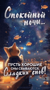 a cat is sitting on a pier looking at fish in the sky