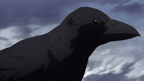 Another Anime GIF - Another Anime Bird - Discover & Share GIFs