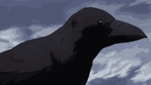 Another Anime GIF - Another Anime Bird GIFs