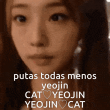 Im Yeojin Yeojin Cat GIF - Im Yeojin Yeojin Cat Cat Yeojin GIFs