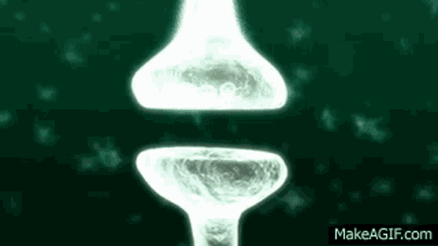 Synapse X Protosmasher GIF - Synapse X Protosmasher Calamari - Discover &  Share GIFs
