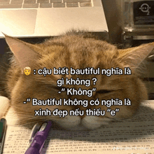 a cat is laying on top of a book with a purple pen and a laptop in the background
