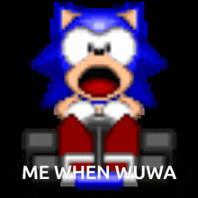 Sonic Wuwa GIF - Sonic Wuwa GIFs