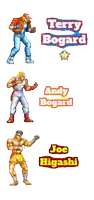 a video game character with the name terry bogard on top
