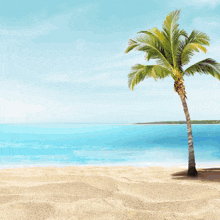 a beach scene with a sign that says ' menang di mentos banyak '
