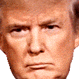 Trump Smug Sticker - Trump Smug Trump Smug Stickers